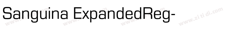Sanguina ExpandedReg字体转换